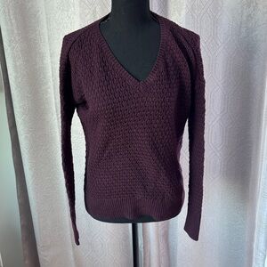 American Eagle Outfitters Deep Purple/burgundy V-Neck Sweater